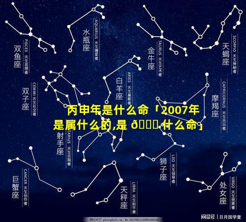 丙申年是什么命「2007年是属什么的,是 🐝 什么命」